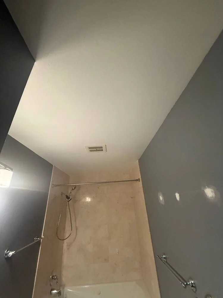 Ceiling Drywall Repair work in Algonquin